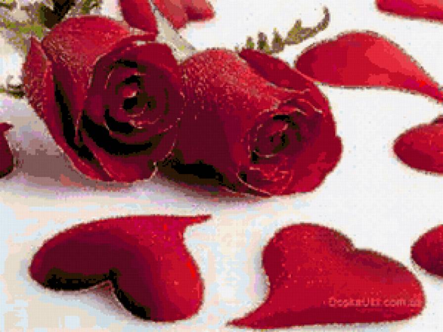 №254857 - цветы, розы - предпросмотр