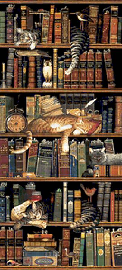 кошки и книги - котята, детское, коты - предпросмотр