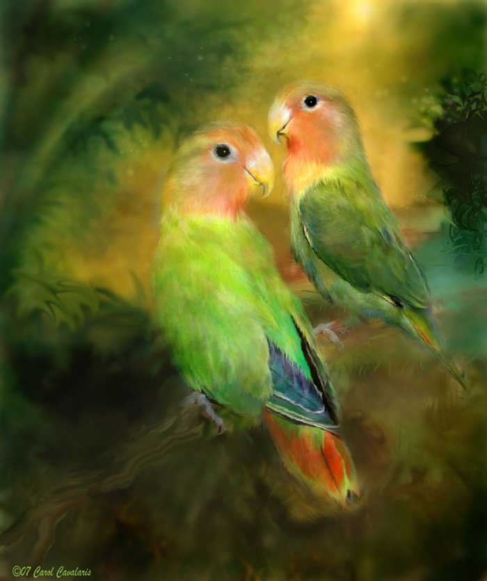 попугайчики 1 - птицы, попугаи, картина - оригинал