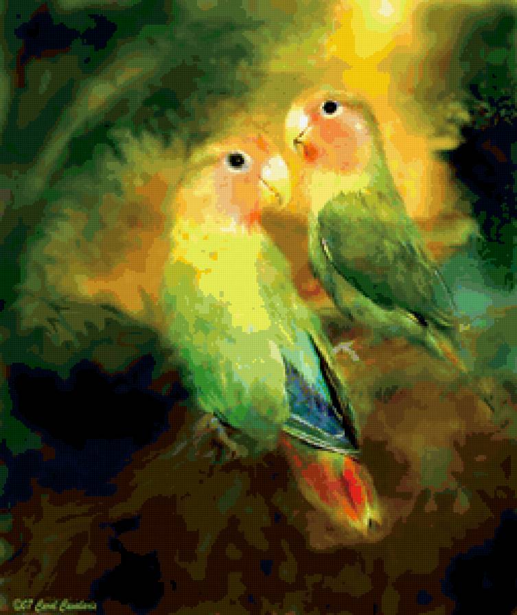 попугайчики 1 - птицы, попугаи, картина - предпросмотр