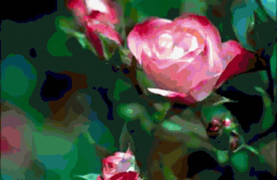 №255668 - цветы, розы - предпросмотр