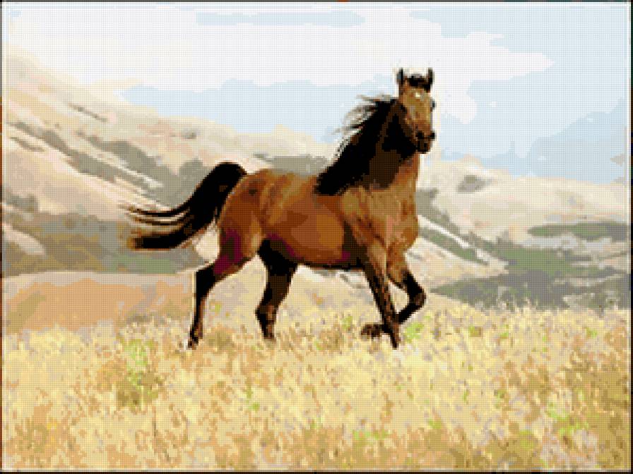 №255686 - лошадь, животные - предпросмотр