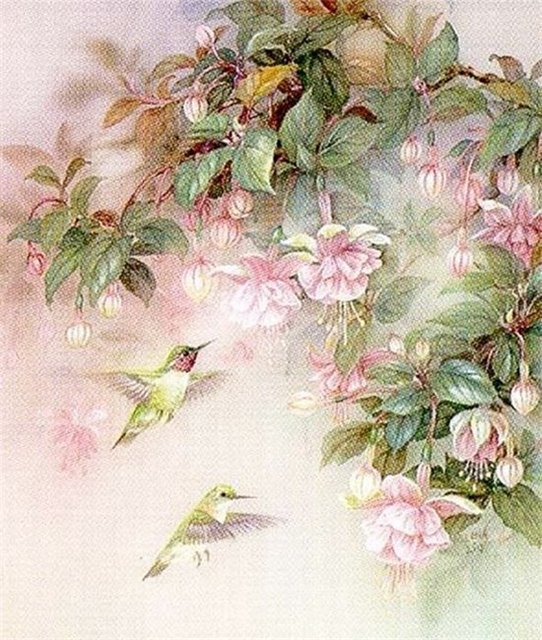 калибри и фуксия - картина природа цветы фуксия птицы калибри - оригинал