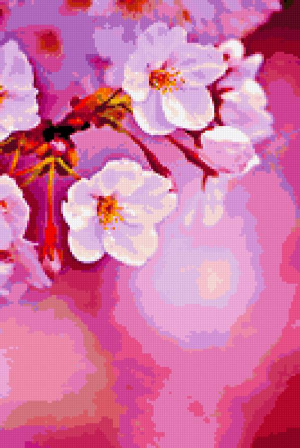веточка вишни - цветы картина вишни ветка - предпросмотр