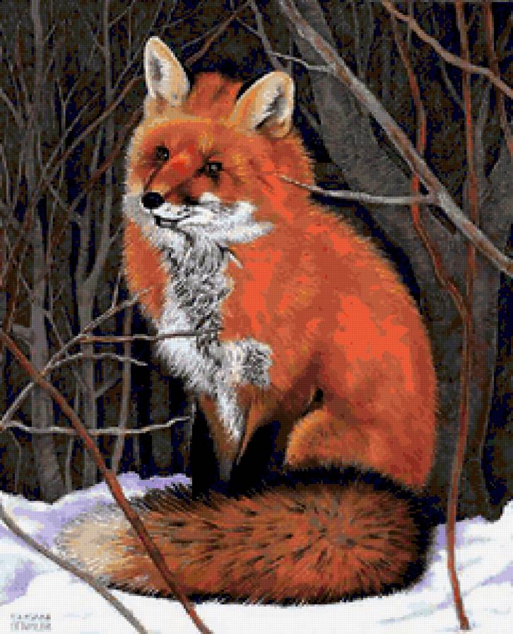 Лиса - лиса, звери, лисичка, лес, природа, лисы, животные, рыжая - предпросмотр