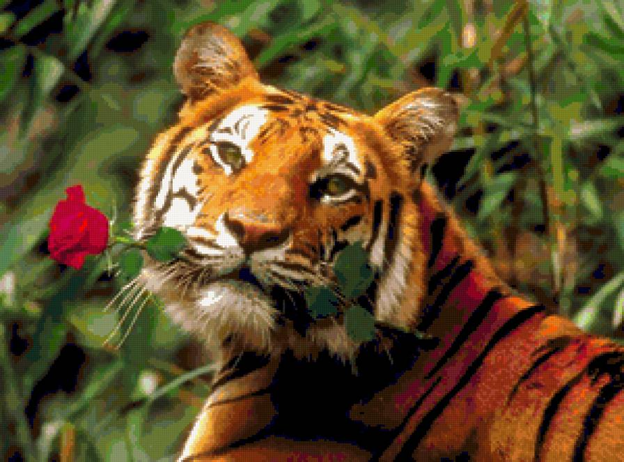 На свидание - тигры, животные, дикие кошки, цветы, кошки - предпросмотр