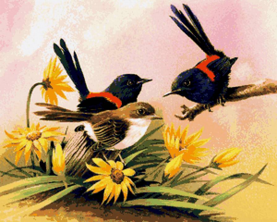 птицы, животные, цветы - предпросмотр
