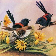 птицы, животные, цветы