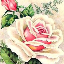 Оригинал схемы вышивки «розы» (№256142)