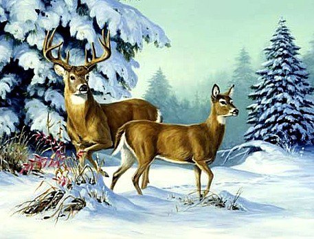 олень - олени, животные, зима - оригинал
