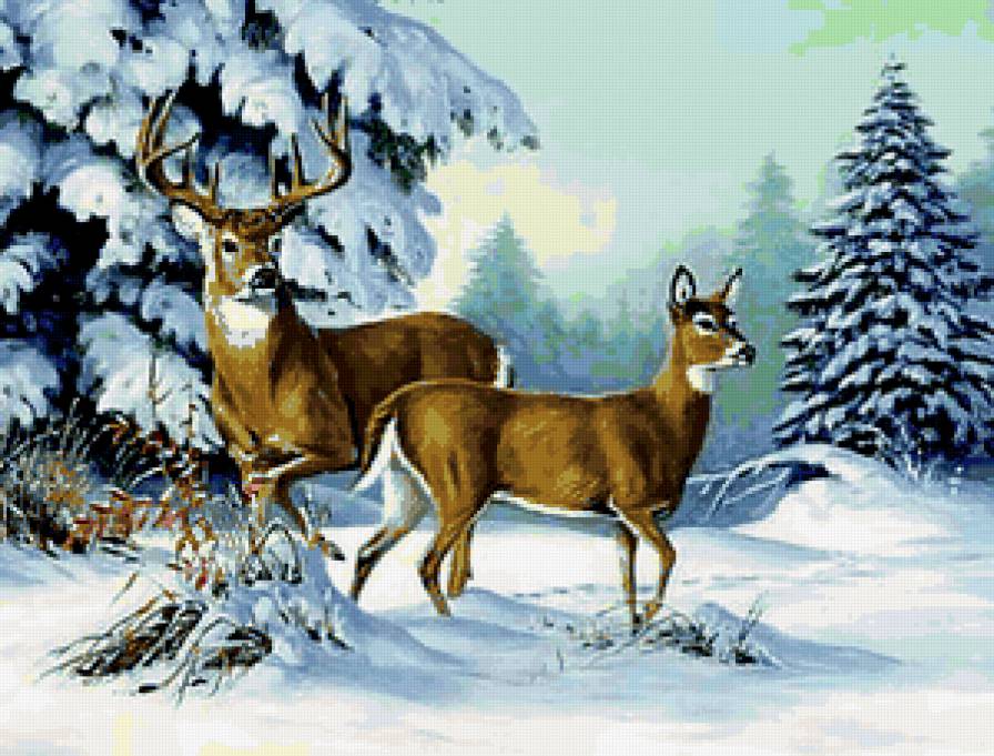 олень - зима, олени, животные - предпросмотр