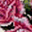 Предпросмотр схемы вышивки «Подушка "Розы"» (№256171)
