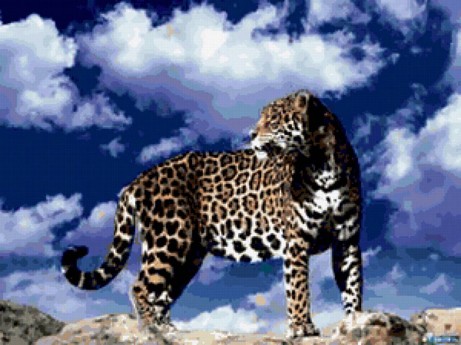 №256251 - животные, леопард - предпросмотр