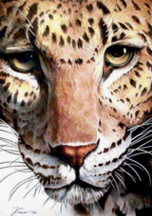 Леопард - леопард, дикие кошки, кошки, животные - предпросмотр