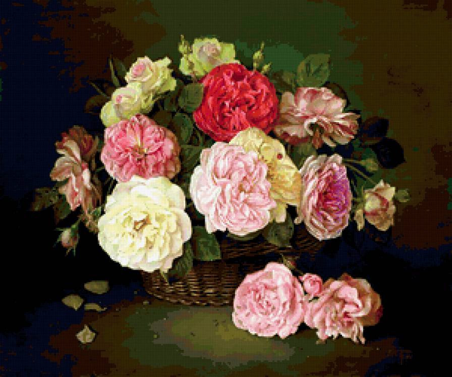 Розы Хосе Эскофета - цветы, розы - предпросмотр