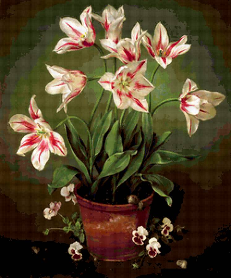 Тюльпаны Хосе Эскофета - тюльпаны, цветы - предпросмотр
