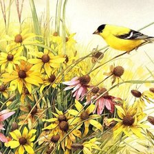 птицы, животные, цветы