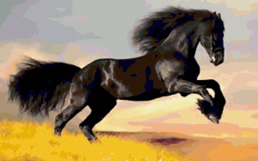 №256821 - животные, лошадь - предпросмотр
