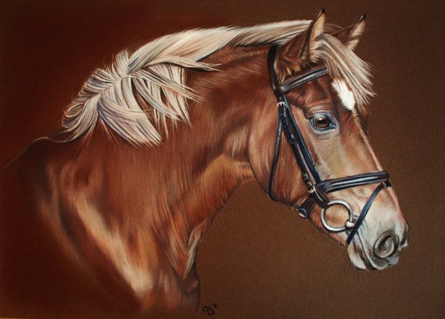 Портрет лошади - портрет, картина, красиво, лошадь - оригинал