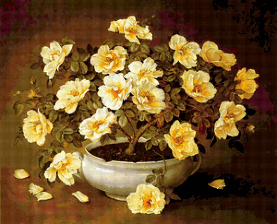 розы, Хосе Эскофет - цветы, розы - предпросмотр
