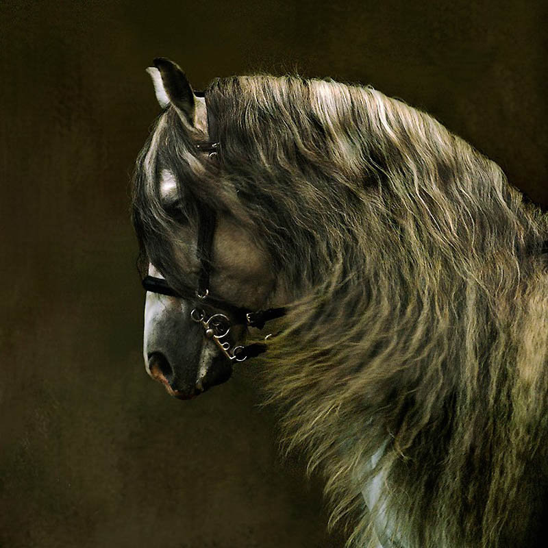 Лошадь - лошадь, картина - оригинал
