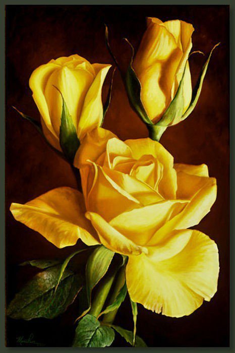 Жёлтые розы - цветы - оригинал