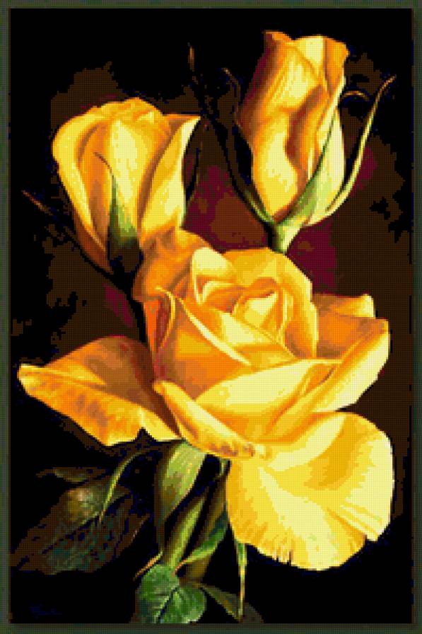 Жёлтые розы - цветы - предпросмотр