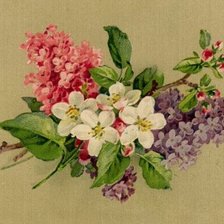 Оригинал схемы вышивки «цветы весны» (№257672)