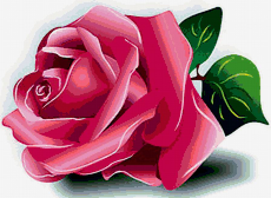 Роза - розы - предпросмотр