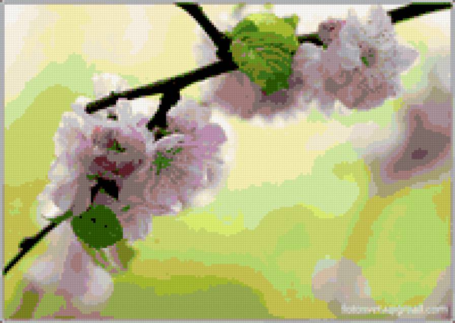 ветка яблони - картина природа весна ветка - предпросмотр