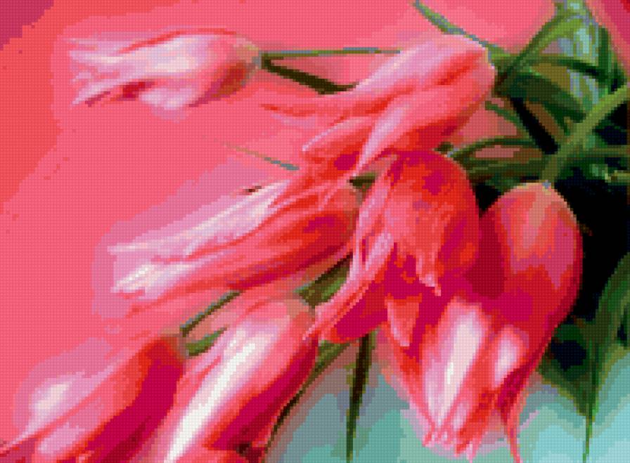 Серия ЦВЕТЫ. Букет тюльпанов - букет, тюльпаны, цветы - предпросмотр