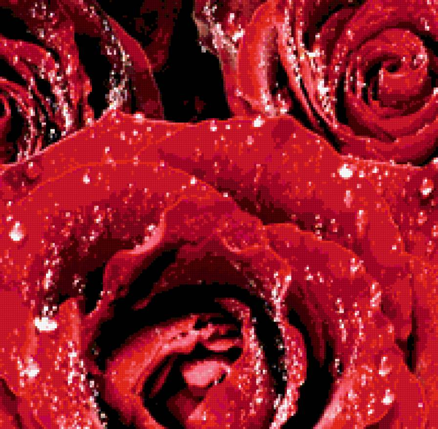 Серия ЦВЕТЫ. Розы - розы, цветы, подушка, роса - предпросмотр
