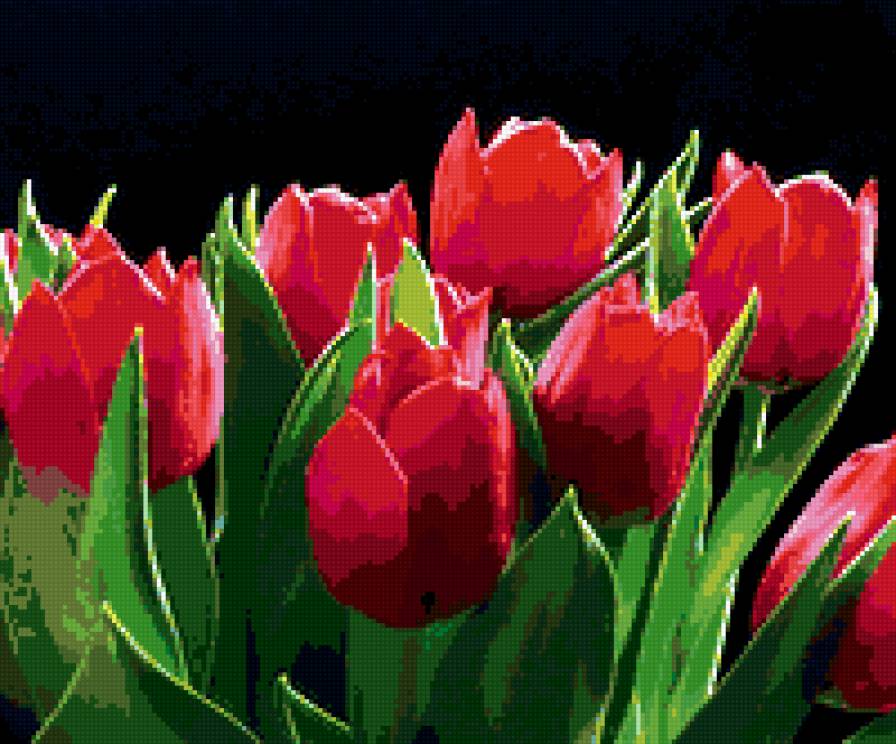 Серия ЦВЕТЫ. Тюльпаны - цветы, подушка, букет, тюльпаны - предпросмотр
