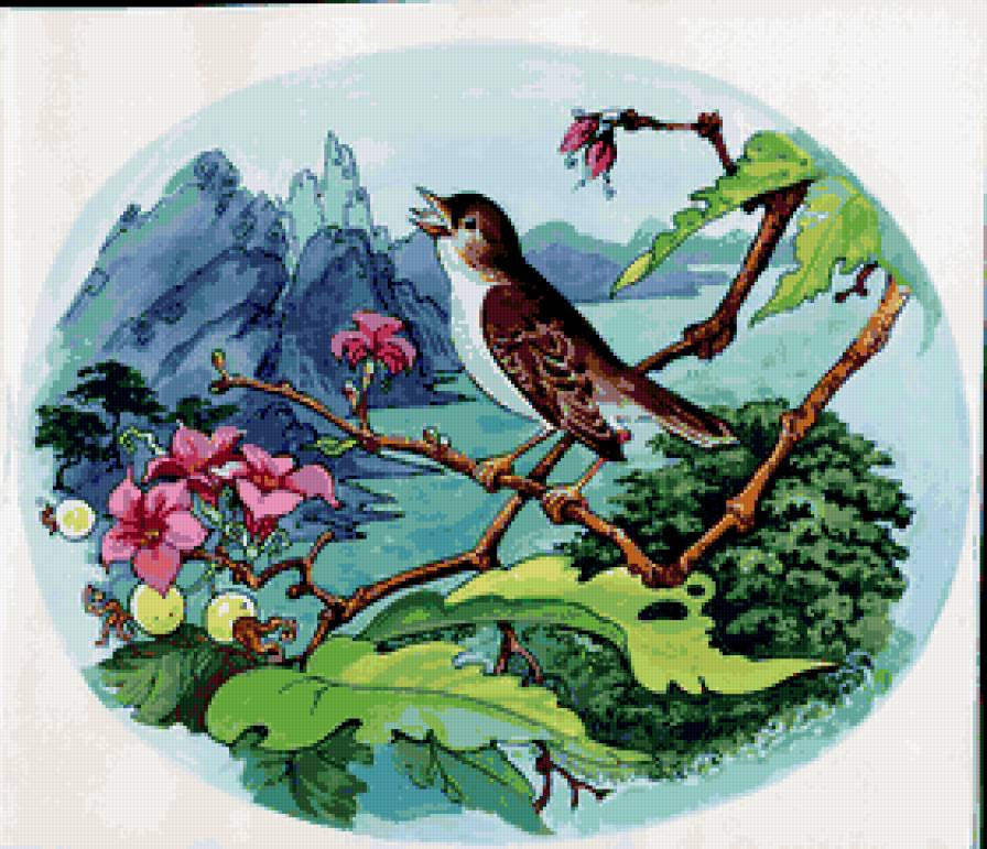 птичка - горы, пейзаж, птицы, птица, природа - предпросмотр