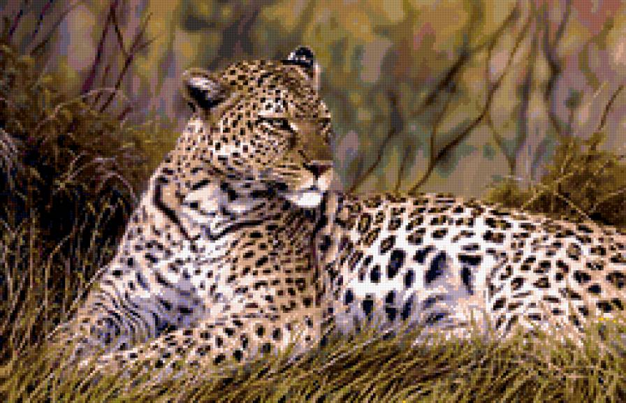 леопард - природа, животные, кошки - предпросмотр