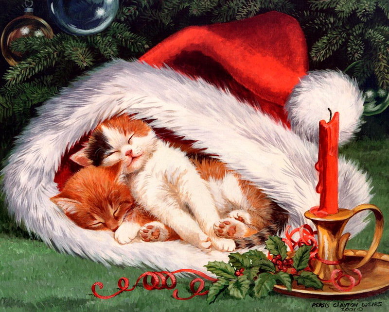№259302 - картина, кошки, рождество - оригинал