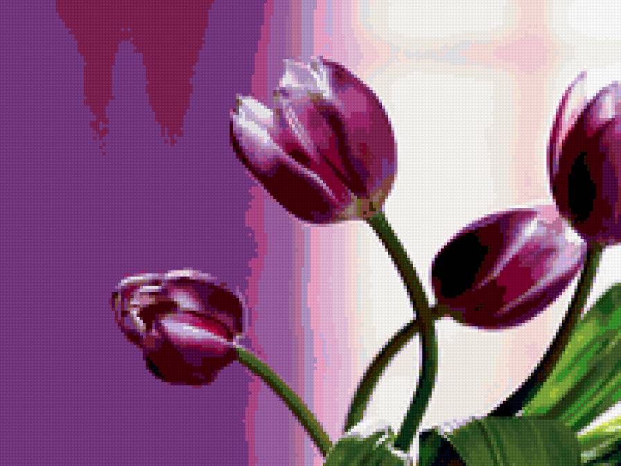 Тюльпаны - тюльпаны, весна, цветы - предпросмотр