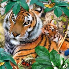 Схема вышивки «тигрица с тигренком»