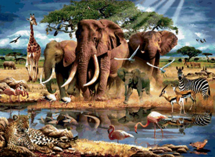 африка - слон, слоны, животные, хищники, мотив, леопард, фламинго, птицы - предпросмотр