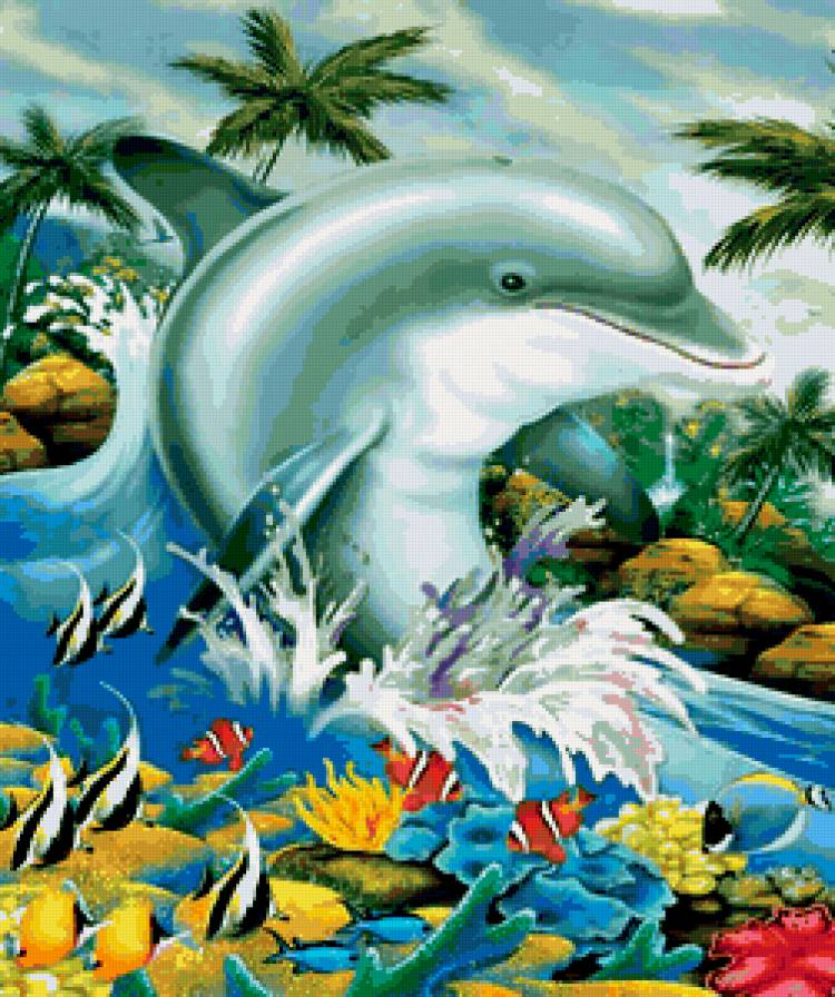 дельфин - рыбы, море, дельфины - предпросмотр