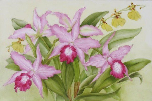 ОРХИДЕЯ - букет, цветы, орхидея - оригинал