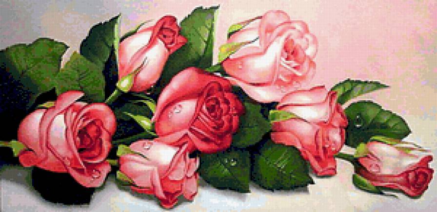 Розовый букет - цветы - предпросмотр