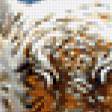 Предпросмотр схемы вышивки «тигры» (№260343)
