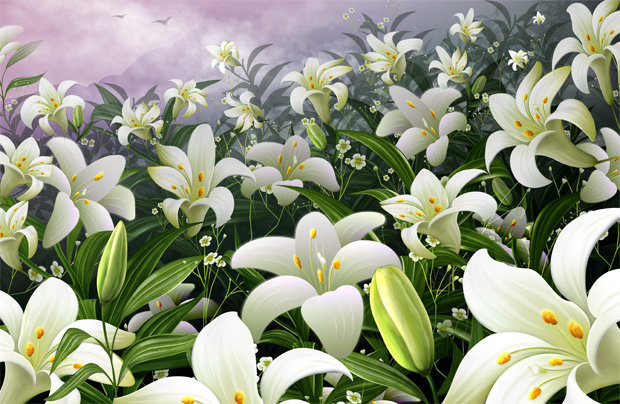 Лилейное поле - лилии, цветы - оригинал