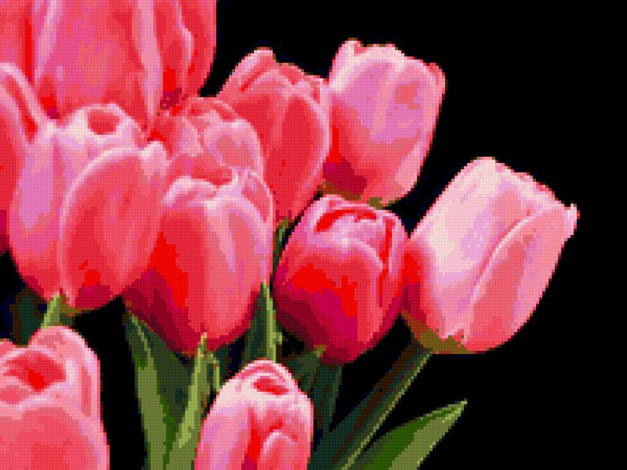 Тюльпаны - цветы, тюльпаны, настроение - предпросмотр