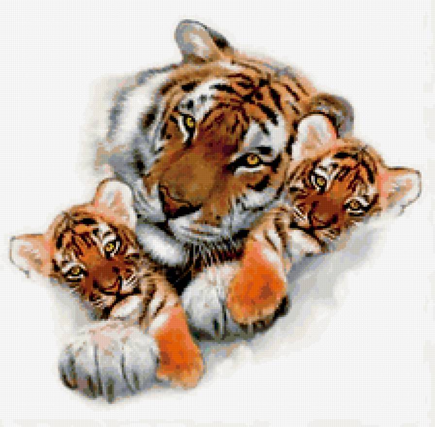 тигры - предпросмотр