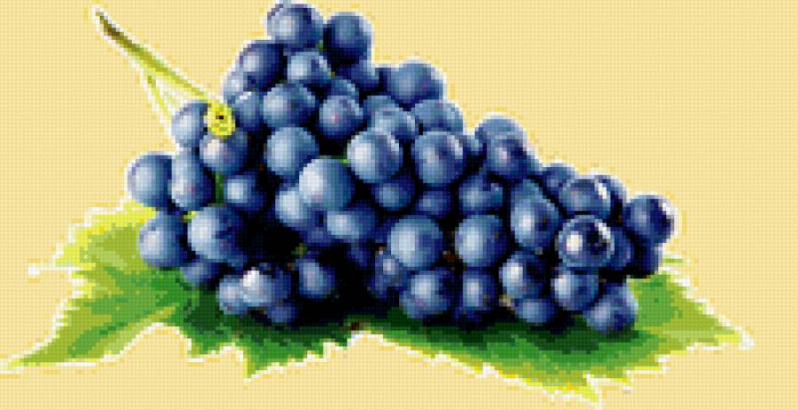 виноград - фрукт - предпросмотр