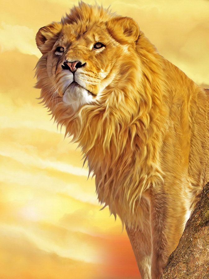 Царь Лев - животное, хищник, лев - оригинал