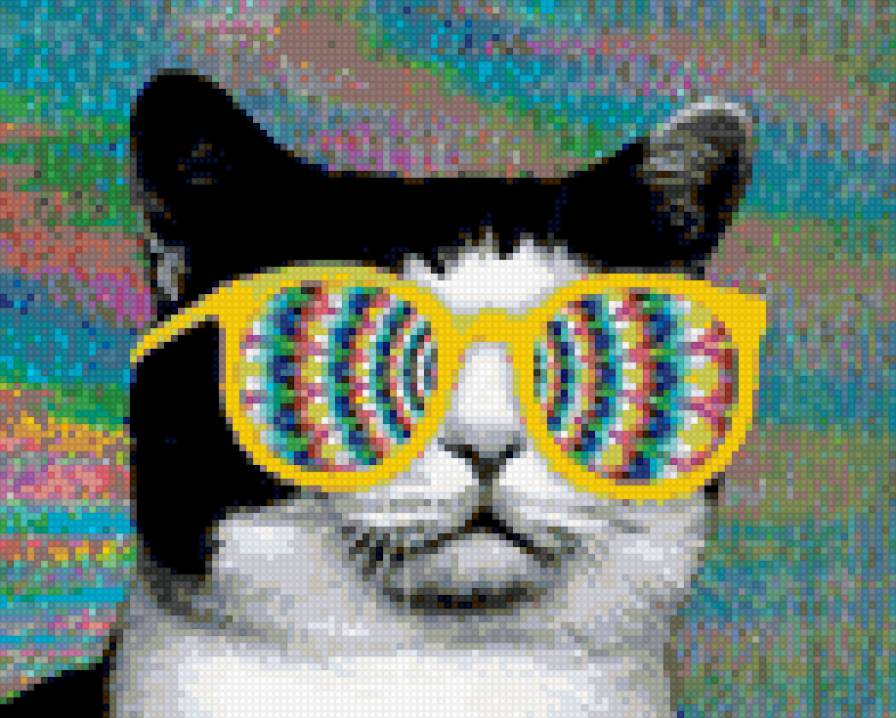 Диско-кот - очки, кошка, кот - предпросмотр