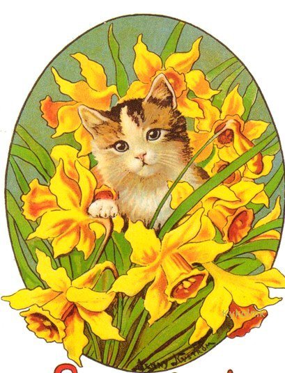 МИЛАШКА РЫЖИК - композиция, нарцыс, цветы, кошка, весенние цветы, букет - оригинал